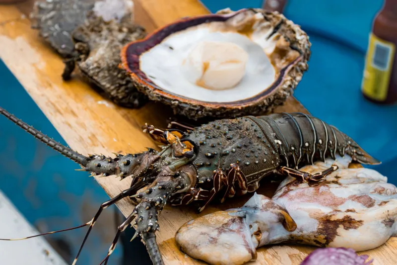 Six Ingredients Quietly Reinventing the American Teppan Counter